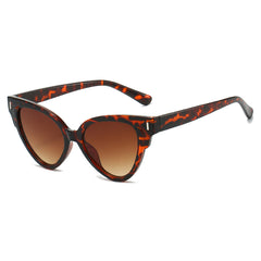 (6 PACK) Wholesale Sunglasses Women Fashion Cat Eye Cat Eye Trendy Unique 2025 - BulkSunglassesWholesale.com - Leopard Print Frame Gradient Tea Lens