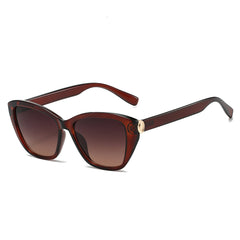 (6 PACK) Wholesale Sunglasses New Arrival Cat Eye Fashion 2025 - BulkSunglassesWholesale.com - Dark Tea Frame Gradient Tea Lens