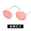 Sunglasses Z1503