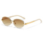 (6 PACK) Wholesale Sunglasses Fashion New Arrival Women Colorful Trendy 2025 - BulkSunglassesWholesale.com - Gold Frame Gradient Tea