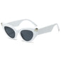 (6 PACK) Wholesale Sunglasses New Arrival Cat Eye Unique Fashion Street Women 2024 - BulkSunglassesWholesale.com - White Frame Black Lens