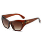 (6 PACK) Wholesale Sunglasses New Arrival Fashion Women Small Cat Eye Unique Trendy 2024 - BulkSunglassesWholesale.com - Tea Frame Gradient Tea Lens