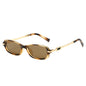 (6 PACK) Wholesale Sunglasses Unique Small Street Vintage 2025 - BulkSunglassesWholesale.com - Leopard Print Frame Tea Lens