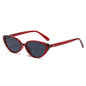 (6 PACK) Wholesale Sunglasses New Arrival Small Cat Eye Women Street Fashion Trendy Women 2025 - BulkSunglassesWholesale.com - Red Frame Black Lens