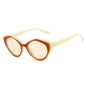 (6 PACK) Wholesale Sunglasses Vintage Cat Eye Women Trendy Square Round 2025 - BulkSunglassesWholesale.com - Tea Frame Champagne Lens