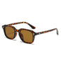 (6 PACK) Wholesale Sunglasses Classic Square Fashion Rivet 2025 - BulkSunglassesWholesale.com - Leopard Print Frame Tea Lens