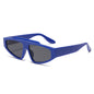 (6 PACK) Wholesale Sunglasses Small New Arrival Trendy Street Fashion 2025 - BulkSunglassesWholesale.com - Blue Frame Black Lens