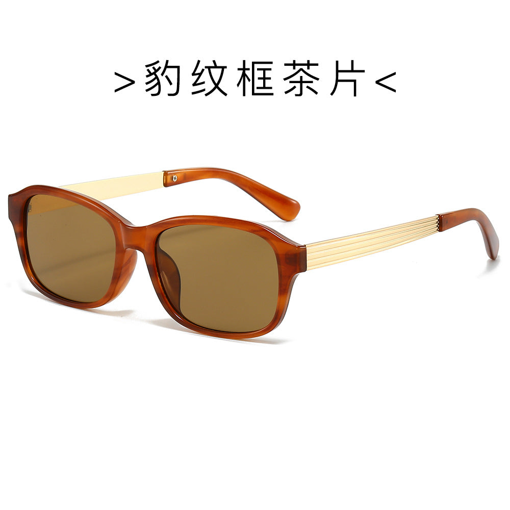 (6 PACK) Wholesale Sunglasses New Arrival Fashion Square Metal 2024 - BulkSunglassesWholesale.com - Leopard Print Frame Tea Lens