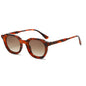 (6 PACK) Wholesale Sunglasses Round Vintage Round Fashion Unisex 2024 - BulkSunglassesWholesale.com - Leopard Print Frame Gradient Tea Lens