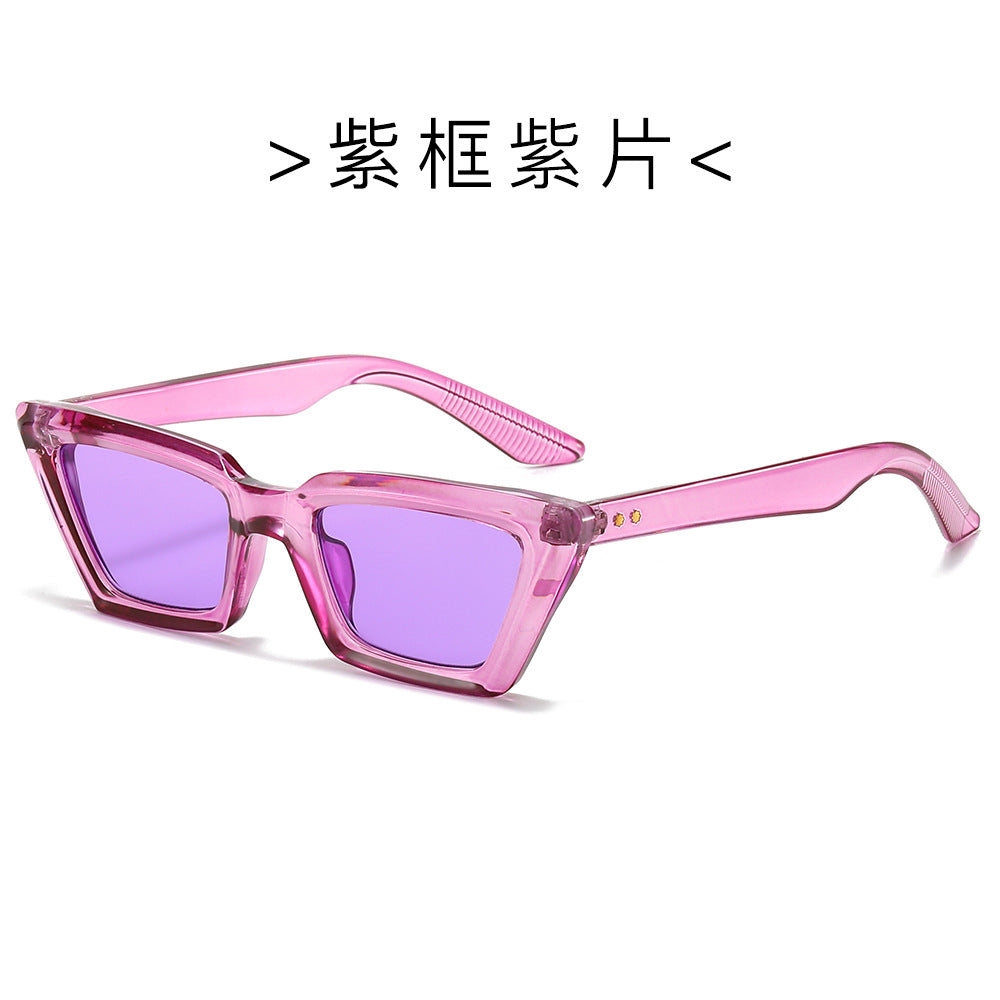 (6 PACK) Wholesale Sunglasses Vintage Small Cat Eye Women Rivet Trendy 2024 - BulkSunglassesWholesale.com - Purple Frame Purple Lens