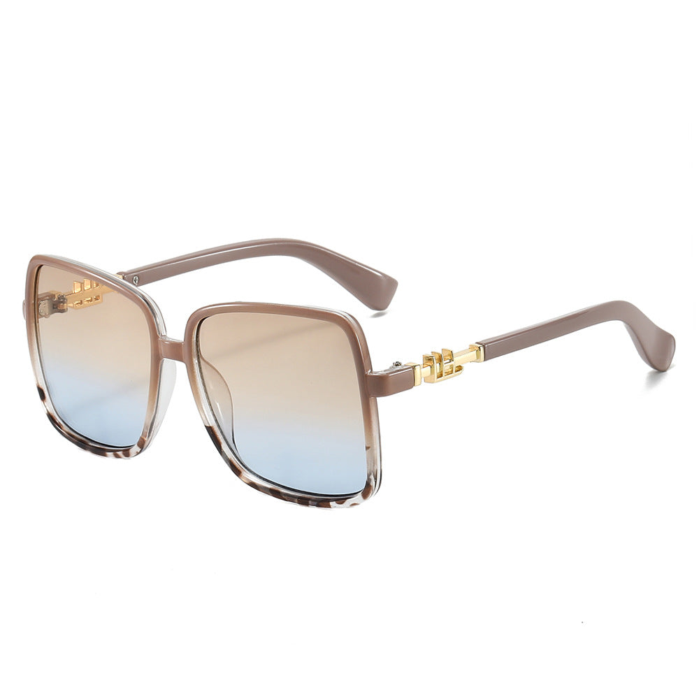 (6 PACK) Wholesale Sunglasses New Arrival Oversized Fashion Unique Square 2024 - BulkSunglassesWholesale.com - Blue Leopard Print Frame Tea Blue Lens