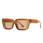 (6 PACK) Wholesale Sunglasses Trendy Street Antiblue Light Women 2024 - BulkSunglassesWholesale.com - Tea Frame Tea Lens