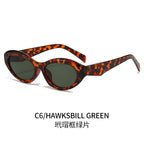 (6 PACK) Wholesale Sunglasses Fashion New Arrival Oval Small Unique Trendy 2024 - BulkSunglassesWholesale.com - Leopard Print Frame Lens