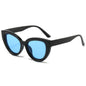 (6 PACK) Wholesale Sunglasses New Arrival Oversized Cat Eye Unique Fashion Street 2024 - BulkSunglassesWholesale.com - Black Frame Blue Lens