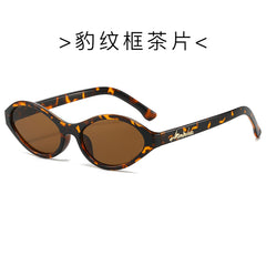 (6 PACK) Wholesale Sunglasses Vintage Unique Small Oval Trendy 2024 - BulkSunglassesWholesale.com - Leopard Print Frame Tea Lens