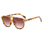 (6 PACK) Wholesale Sunglasses New Arrival Unique Unisex Aviator Trendy 2025 - BulkSunglassesWholesale.com - Leopard Print Gradient Tea Lens