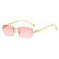 (6 PACK) Wholesale Sunglasses Unique Leopard Head Metal Rimless New Arrival Unisex 2025 - BulkSunglassesWholesale.com - Gold Frame Gradient Pink