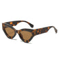(6 PACK) Wholesale Sunglasses New Arrival Cat Eye Fashion Unique Unisex 2025 - BulkSunglassesWholesale.com - Leopard Print Frame Tea Lens