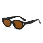 (6 PACK) Wholesale Sunglasses Vintage Cat Eye Women New Arrival Square Round Polarized 2025 - BulkSunglassesWholesale.com - Black Frame Tea Lens