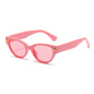 (6 PACK) Wholesale Sunglasses Fashion Cat Eye Unique Women New Arrival Leopard Head Street 2024 - BulkSunglassesWholesale.com - Pink Frame Pink Lens
