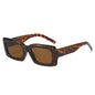 (6 PACK) Wholesale Sunglasses New Arrival Square Oversized Fashion Unisex 2025 - BulkSunglassesWholesale.com - Leopard Print Frame Tea Lens