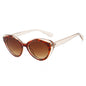 (6 PACK) Wholesale Sunglasses Vintage Cat Eye Women Trendy Square Round 2025 - BulkSunglassesWholesale.com - Leopard Print Frame Gradient Tea Lens