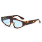 (6 PACK) Wholesale Sunglasses Small New Arrival Trendy Street Fashion 2025 - BulkSunglassesWholesale.com - Leopard Print Frame Blue Lens