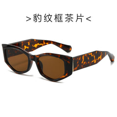 (6 PACK) Wholesale Sunglasses Unique New Arrival Trendy Cat Eye Women 2024 - BulkSunglassesWholesale.com - Leopard Print Frame Tea Lens