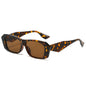 (6 PACK) Wholesale Sunglasses New Arrival Polygon Unique Square Unisex 2024 - BulkSunglassesWholesale.com - Leopard Print Frame Tea Lens