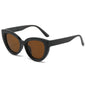 (6 PACK) Wholesale Sunglasses New Arrival Oversized Cat Eye Unique Fashion Street 2024 - BulkSunglassesWholesale.com - Black Frame Tea Lens
