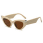(6 PACK) Wholesale Sunglasses New Arrival Cat Eye Unique Fashion Street Women 2024 - BulkSunglassesWholesale.com - Beige White Frame Tea Lens