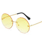 (6 PACK) Wholesale Sunglasses 79005
