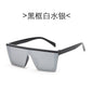 Sunglasses 79007