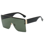 Sunglasses 73017