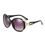 Sunglasses 803