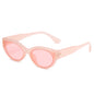 (6 PACK) Vente en gros de lunettes de soleil 78009