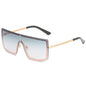 (6 PACK) Vente en gros de lunettes de soleil 88046