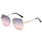 Sunglasses 88064