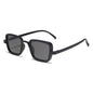 Sunglasses 87032
