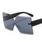 Sunglasses 89043