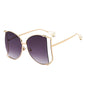 Sunglasses H1301