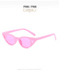 (6 PACK) Wholesale Sunglasses 79008