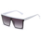 (6 PACK) Wholesale Sunglasses 87004