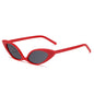 (6 PACK) Vente en gros de lunettes de soleil 87036