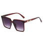 (6 PACK) Wholesale Sunglasses 81008