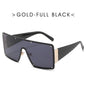 Sunglasses C1302