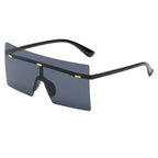 Sunglasses 77011