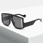 Sunglasses 61101