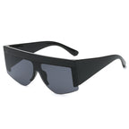 Sunglasses 73018