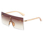 (6 PACK) Vente en gros de lunettes de soleil 77011